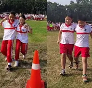 纷繁复杂的意思