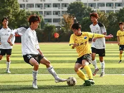 纷纷扰扰是成语嘛 纷纷扰扰是成语嘛